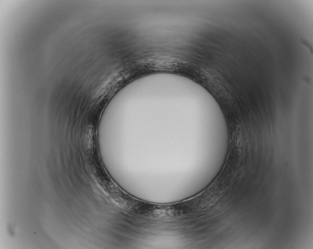 X0000100200744200806201421