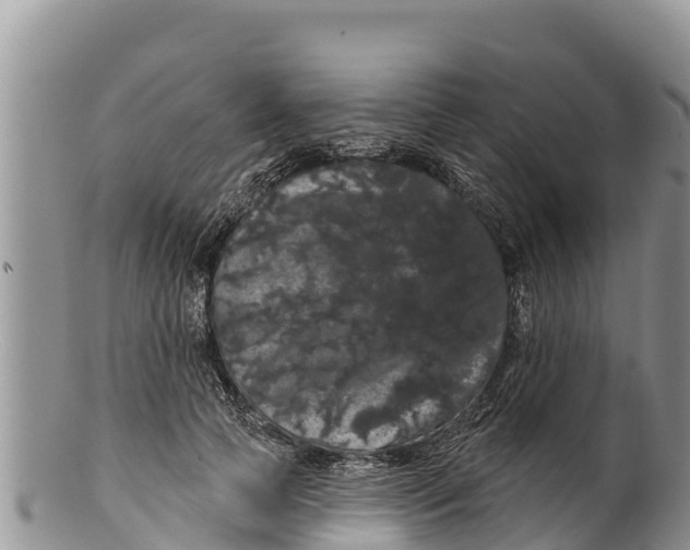 X0000100200745200806201421