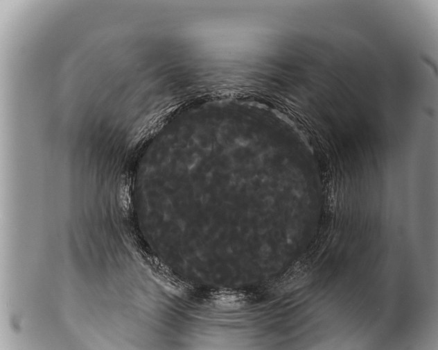 X0000100200746200806201421