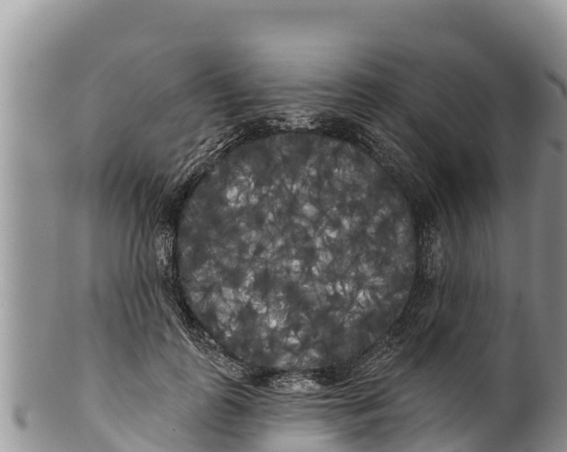 X0000100200747200806201421