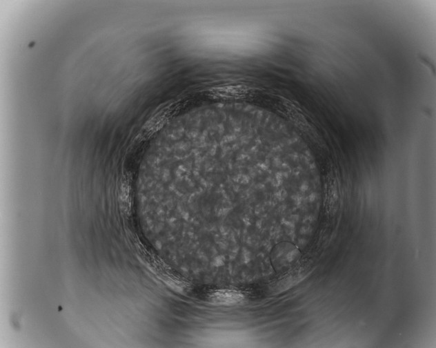 X0000100200749200806201421