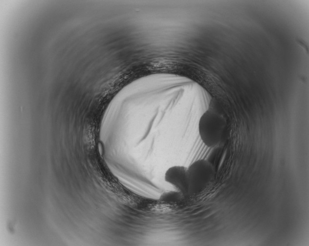 X0000100200751200806201421