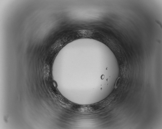 X0000100200752200806201421