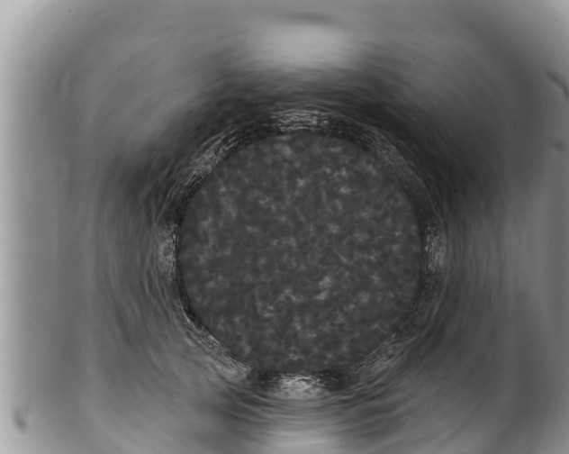 X0000100200753200806201421