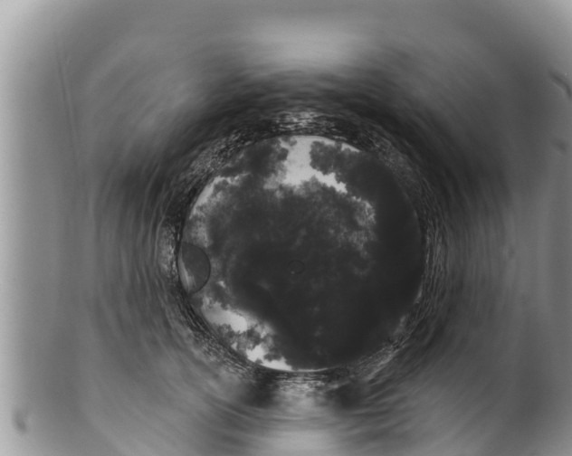 X0000100200754200806201421