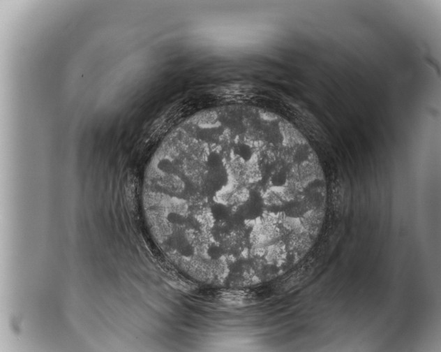 X0000100200757200806201421