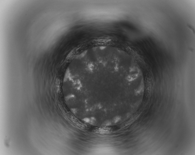 X0000100200758200806201421