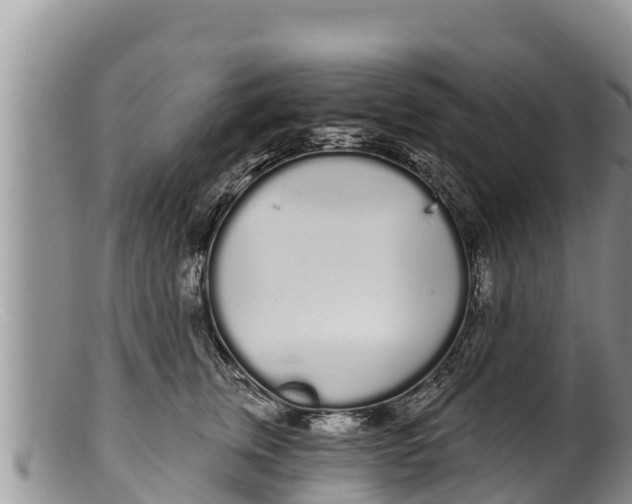 X0000100200759200806201421