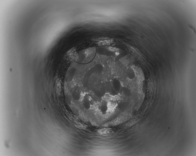 X0000100200761200806201421