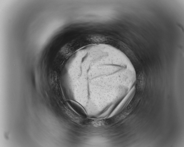 X0000100200762200806201421