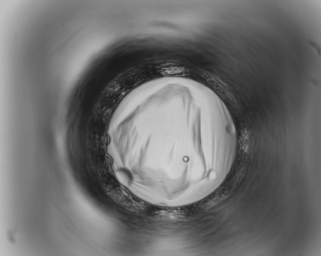 X0000100200763200806201421