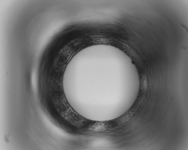 X0000100200764200806201421