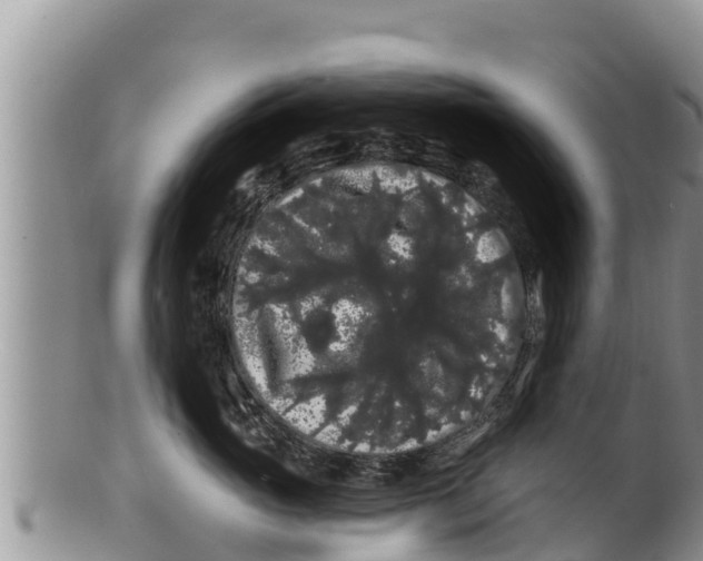 X0000100200765200806201421