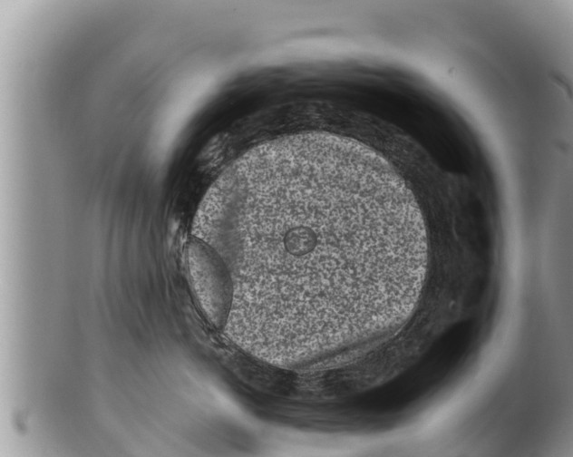 X0000100200766200806201421