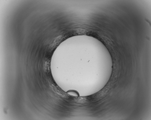 X0000100200768200806201421