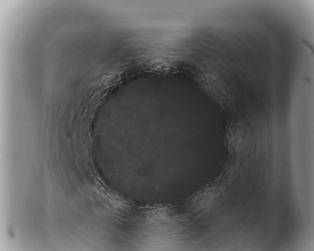 X0000100200769200806201420