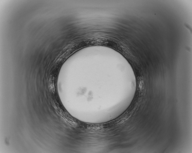 X0000100200771200806201420