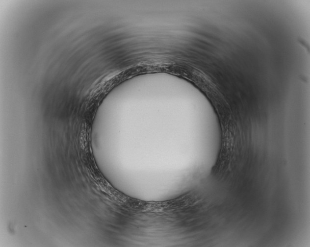 X0000100200773200806201420