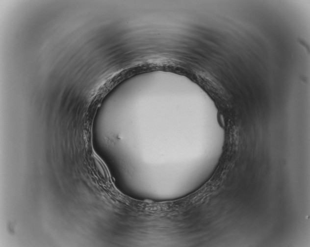 X0000100200776200806201420