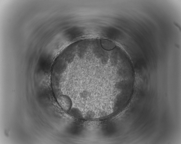 X0000100200778200806201420