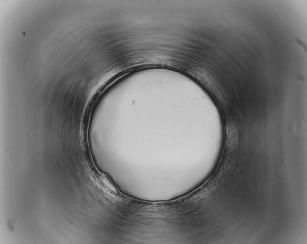 X0000100200780200806201420