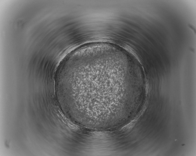 X0000100200781200806201420