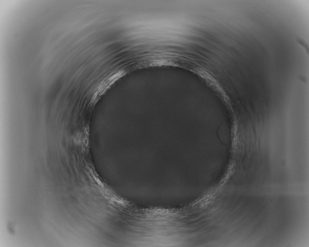 X0000100200785200806201420