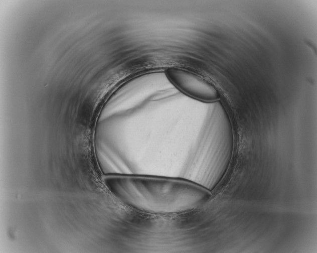 X0000100200786200806201420