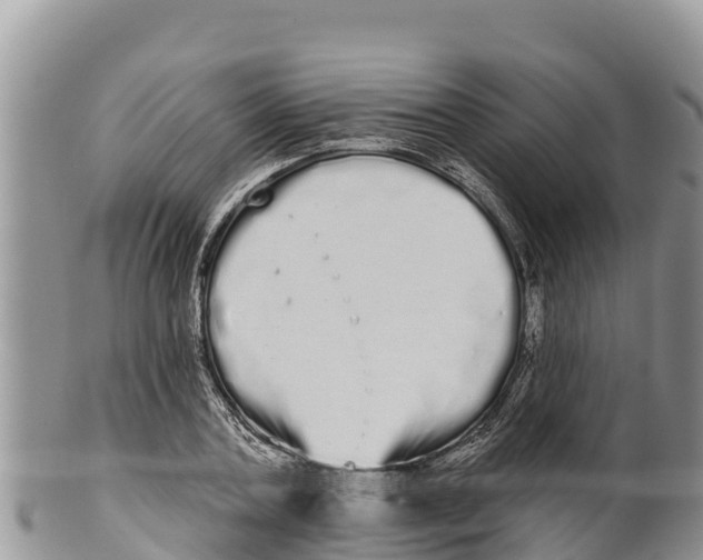 X0000100200787200806201420