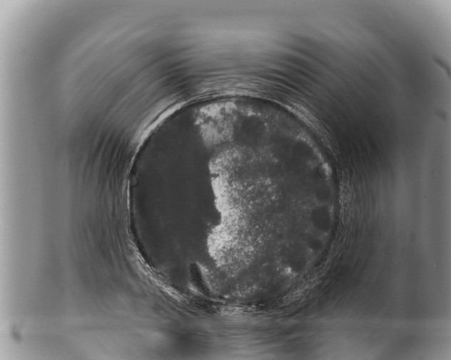 X0000100200790200806201420