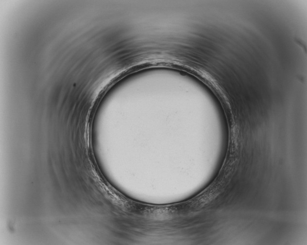 X0000100200791200806201420