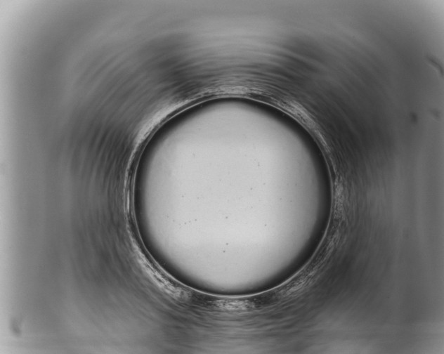 X0000100200795200806201420