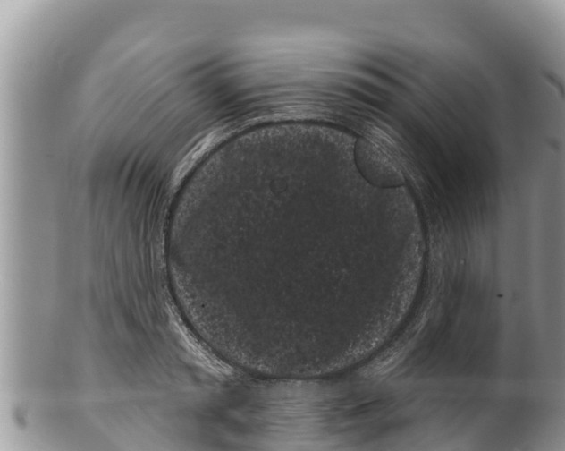 X0000100200797200806201420