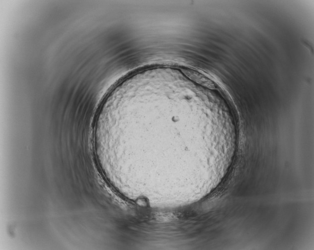 X0000100200799200806201420