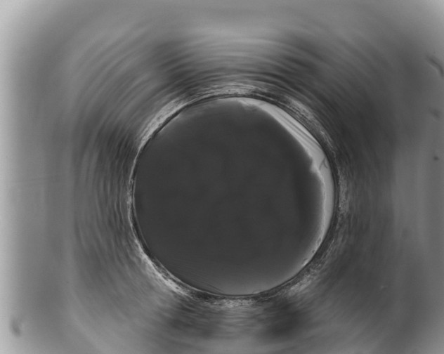 X0000100200802200806201420