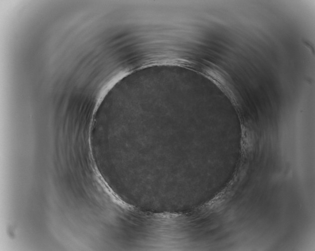 X0000100200804200806201420