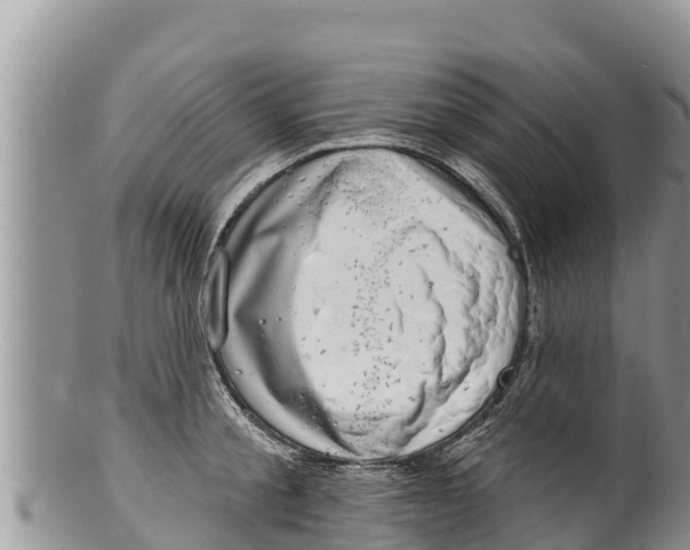 X0000100200805200806201420