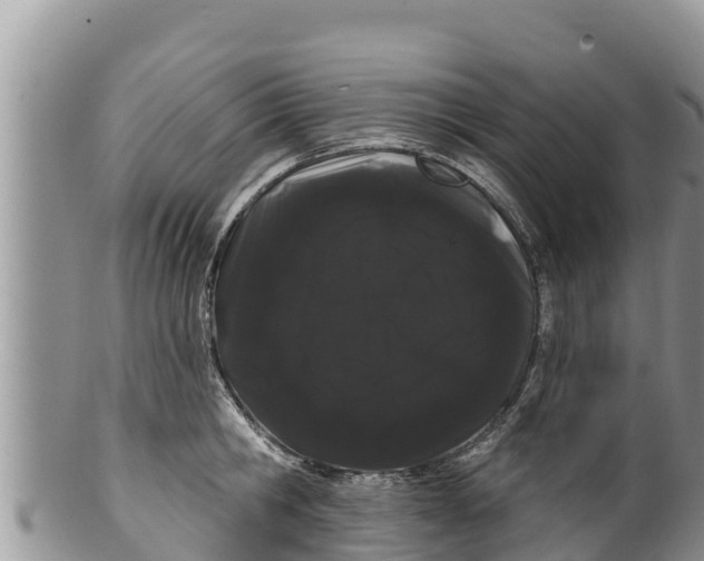 X0000100200806200806201420