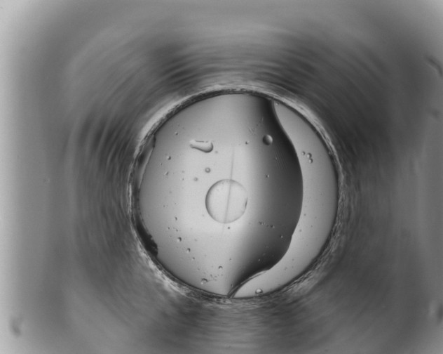 X0000100200807200806201420