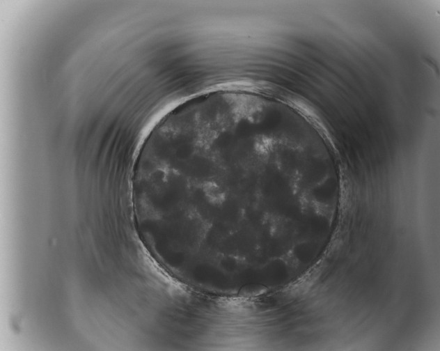 X0000100200808200806201420