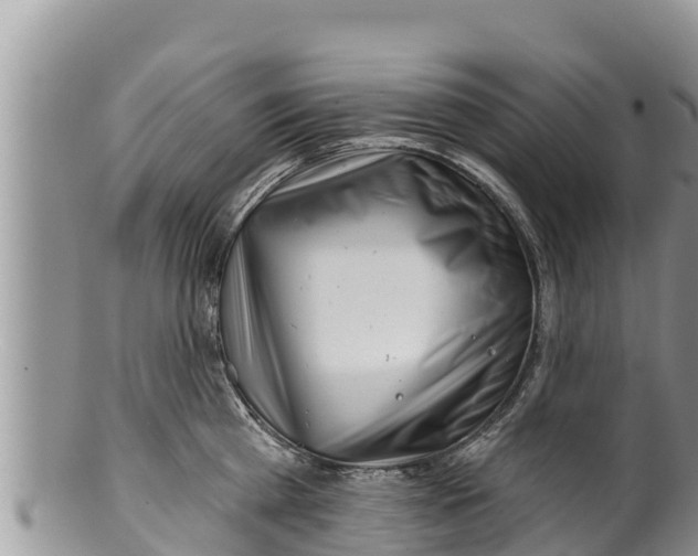 X0000100200809200806201420