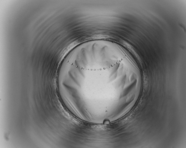 X0000100200810200806201420