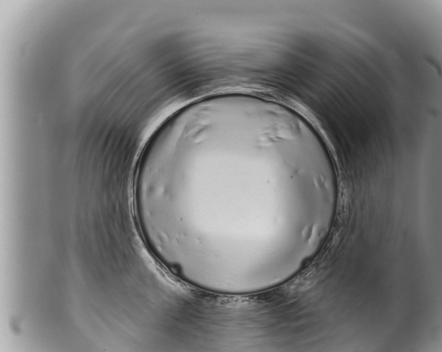 X0000100200811200806201420