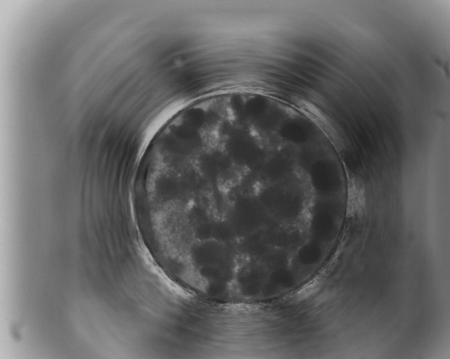 X0000100200812200806201420