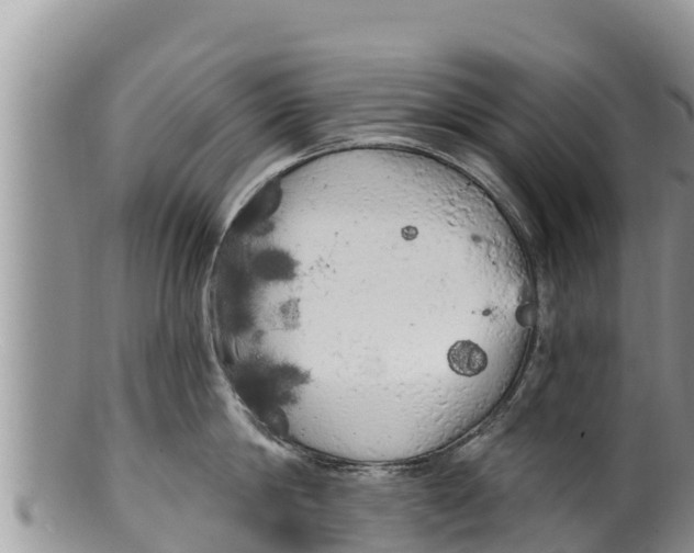 X0000100200814200806201420