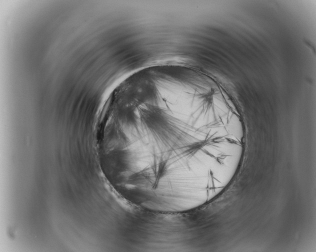 X0000100200816200806201420