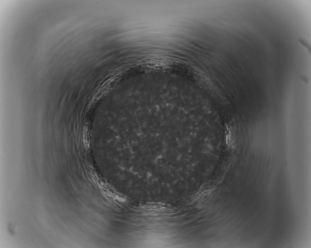 X0000100200819200806201419