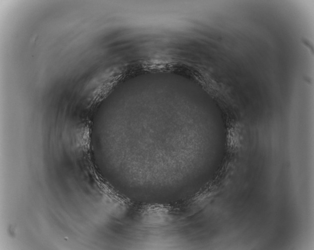 X0000100200820200806201419