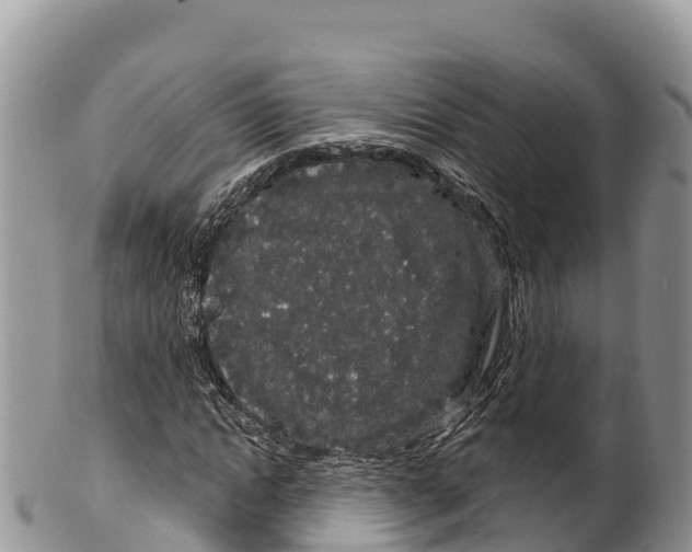 X0000100200822200806201419