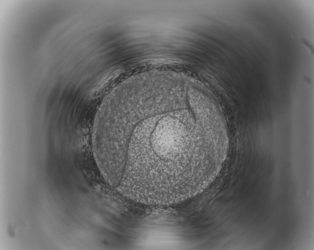 X0000100200824200806201419